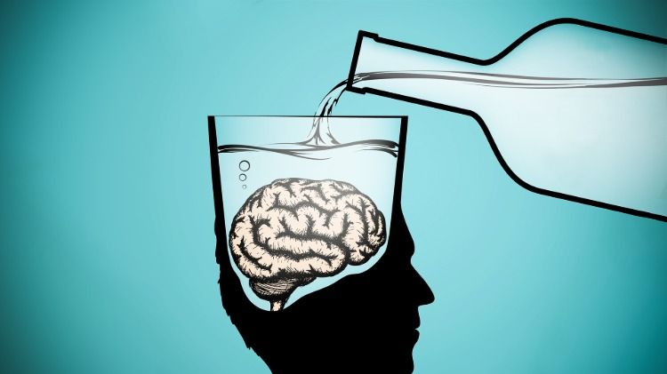 Влияние алкоголя на работу мозга